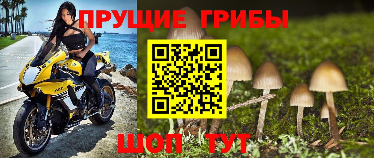 купить наркотик  Псилоцибиновые грибы Psilocybine cubensis  Вход с VPN  Электросталь  Псилоцибиновые грибы прущие грибы 